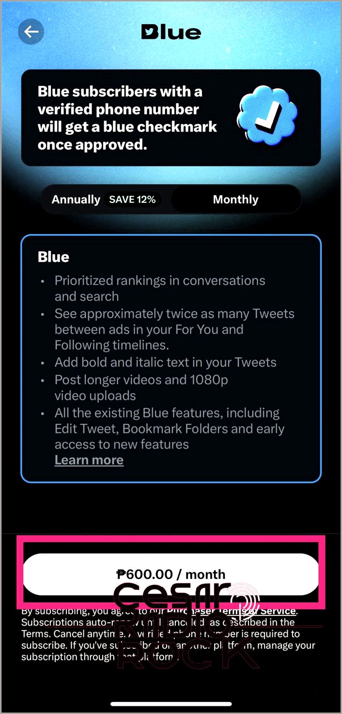 Twitter app - showing subscription button for Twitter Blue