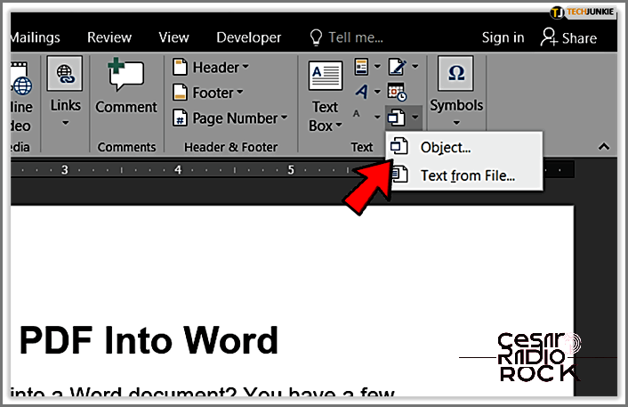 How to Add a PDF to a Word Document