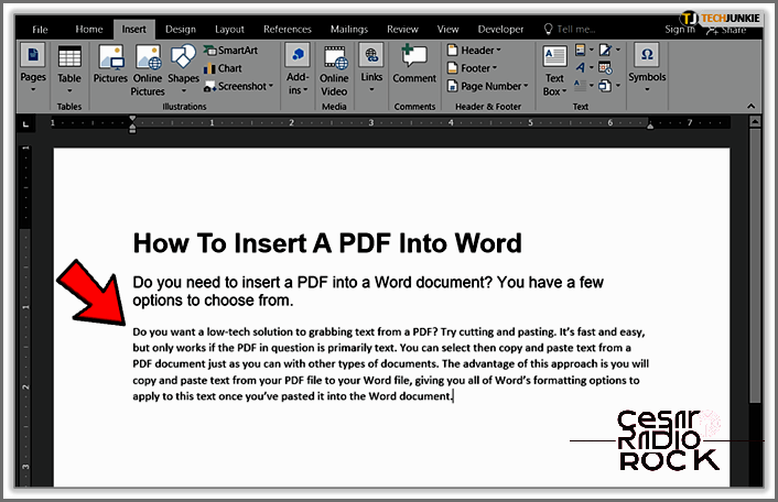 How to Add a PDF to a Word Document