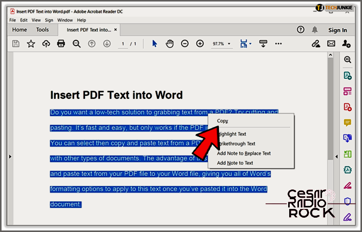 How to Add a PDF to a Word Document