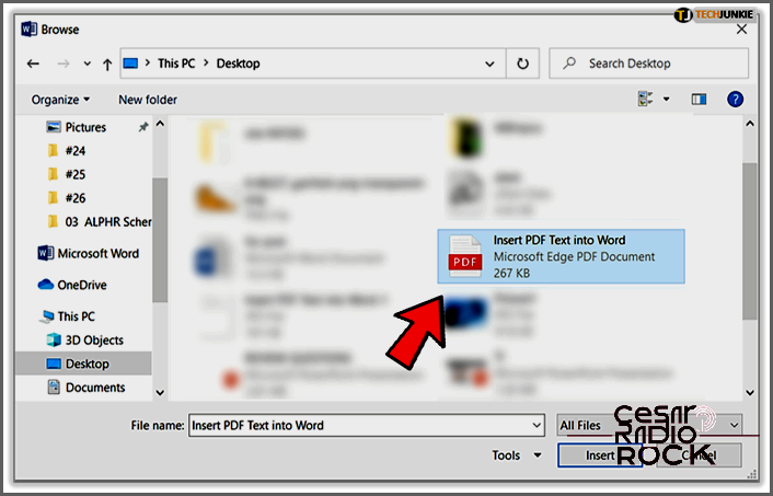 How to Add a PDF to a Word Document