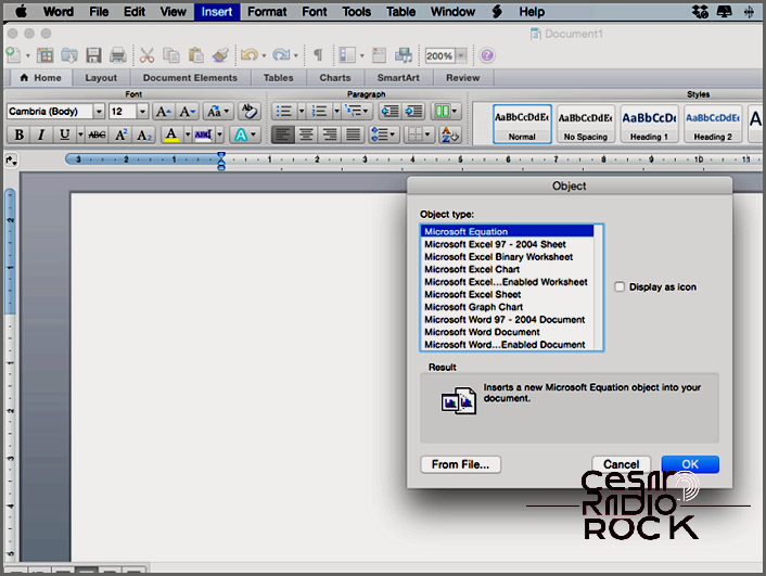 How to Add a PDF to a Word Document