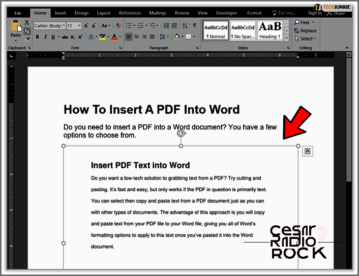 How to Add a PDF to a Word Document