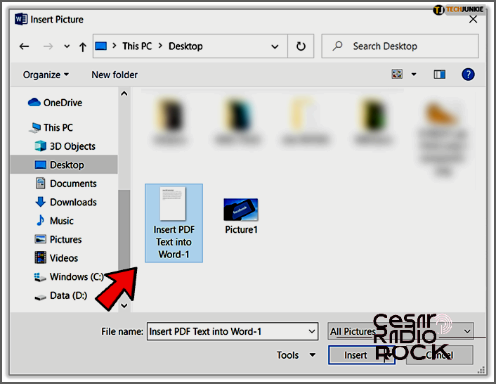 How to Add a PDF to a Word Document