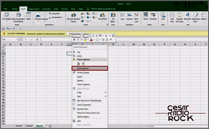 Excel Paste Special Result