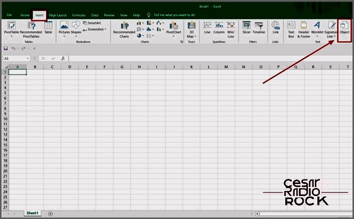 Excel Insert Menu