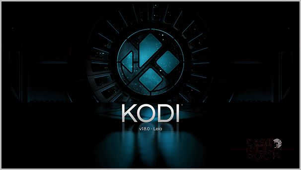 How To Install Kodi 18.5 Leia on the Amazon FireStick TV