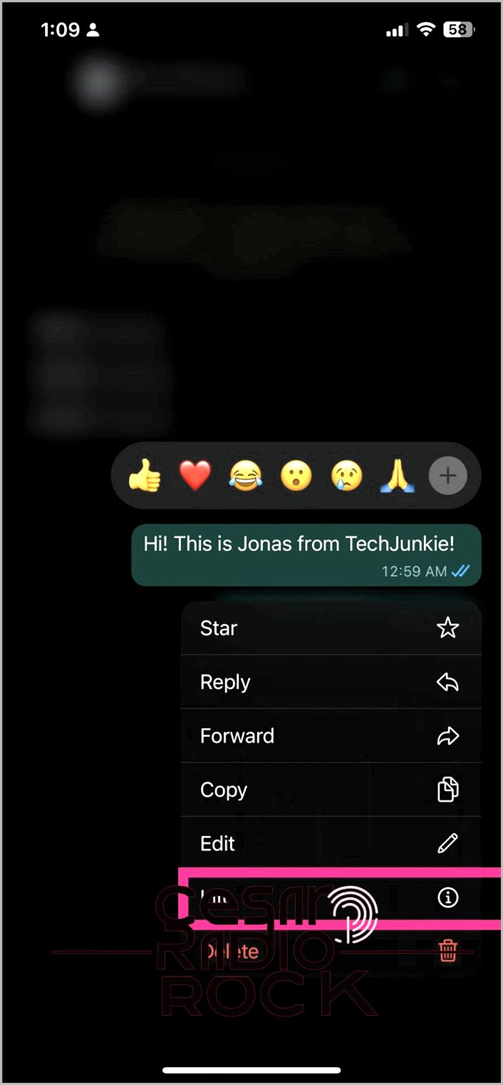 Whatsapp Message Info screen