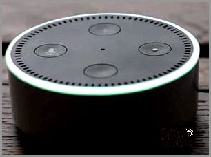 echo dot green