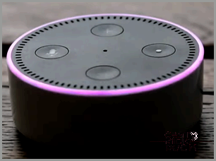 echo dot purple