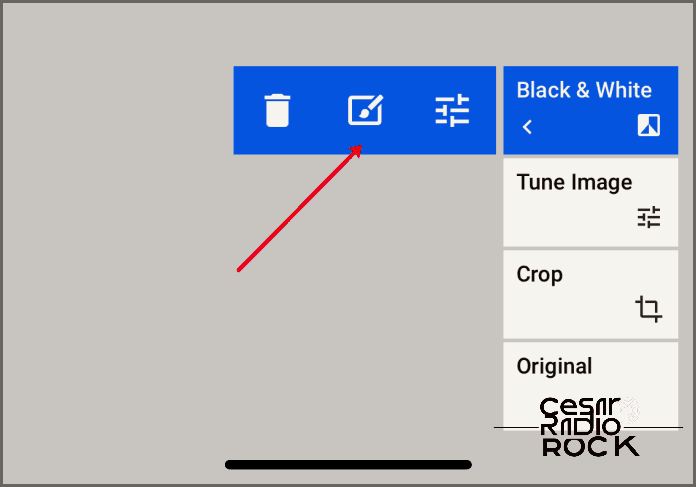 How to Change the Background Color to Black or White in Snapseed