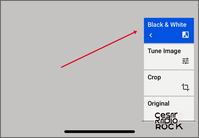 How to Change the Background Color to Black or White in Snapseed