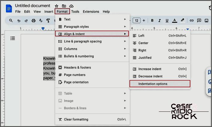 Choose Indentation Options Settings