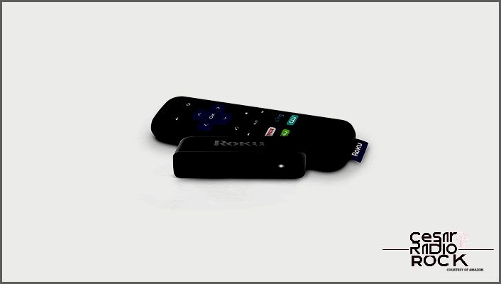 How to Make Your Roku Stick Stop Talking