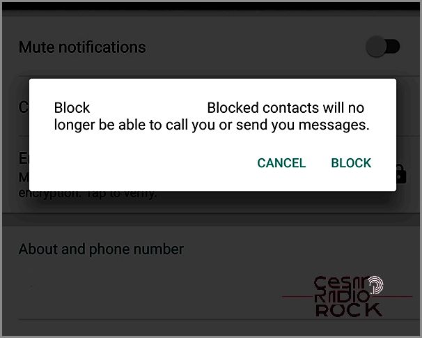 How to Send a Message to Someone who Has Blocked You on WhatsApp