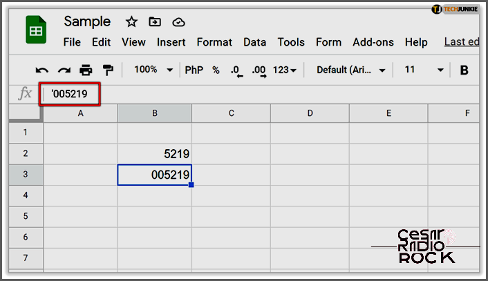 Stop Google Sheets from Erasing Important Leading Zeros